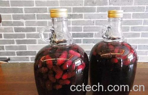 桑葚泡酒-0