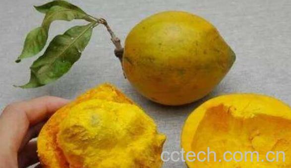 蛋黄果怎么吃 蛋黄果的吃法-1
