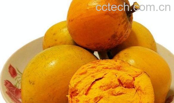 蛋黄果的功效与作用 蛋黄果的禁忌-1