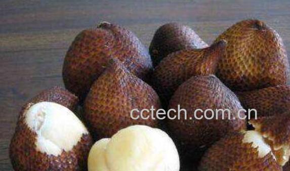 蛇皮果的功效与作用 吃蛇皮果的禁忌-1