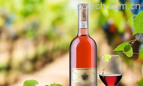 葡萄汁与葡萄酒的区别 喝葡萄汁的好处-0