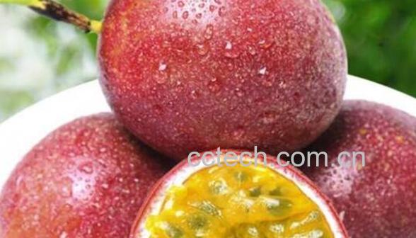 鸡蛋果的功效与作用有哪些-1