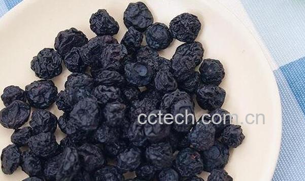 蓝莓干的功效与作用-1