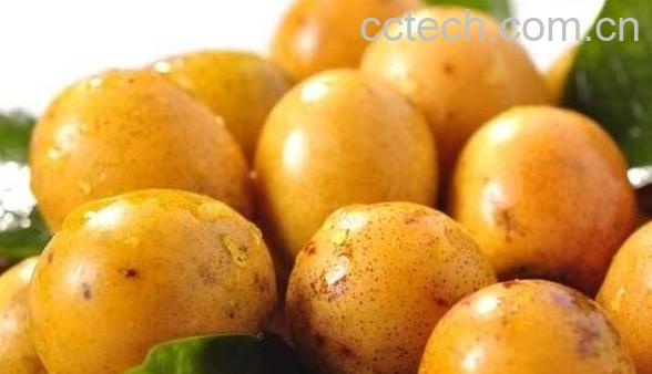 南酸枣的功效与作用 南酸枣的禁忌-0