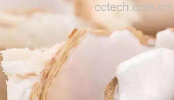 椰子肉怎么弄出来 椰子肉怎么吃-0