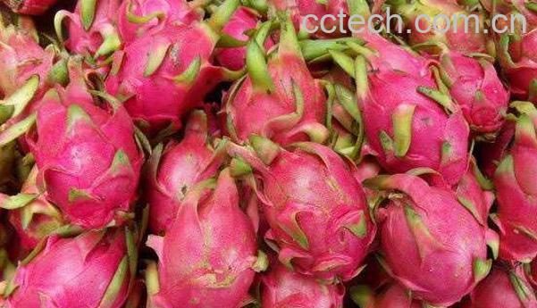 火龙果汁怎么做 火龙果汁的做法教程-0