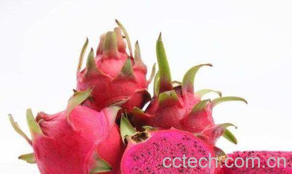 火龙果怎样吃方便 火龙果的正确吃法-0