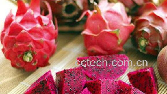 火龙果外皮有什么用 火龙果皮怎么吃-1