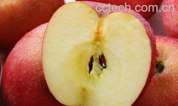 怎么吃苹果减肥最快 苹果减肥的正确方法-1