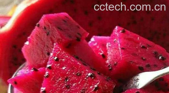 吃火龙果的功效与作用 吃火龙果的禁忌-1