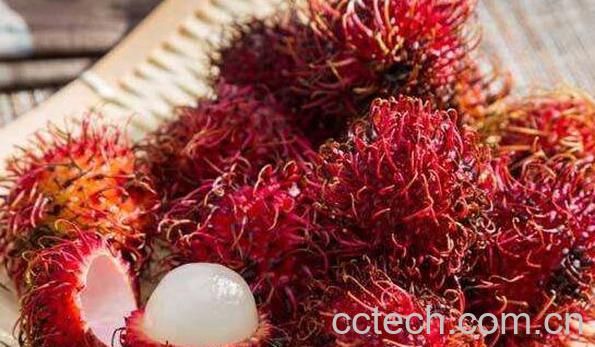 红毛丹怎么吃不沾核皮 红毛丹的核膜怎么去掉-0