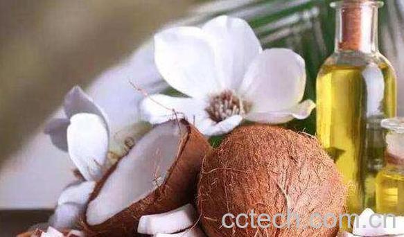 椰子油的危害　椰子油的禁忌-0