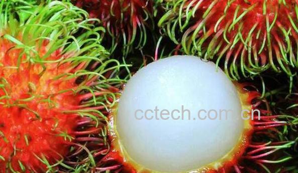 红毛丹怎么吃不沾核皮 红毛丹的核膜怎么去掉-1