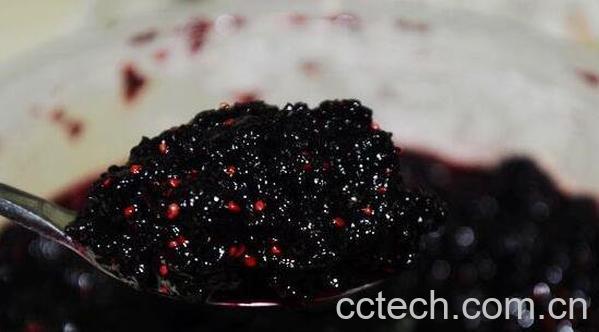 桑葚酱怎么吃最好 桑葚酱的食用方法-1