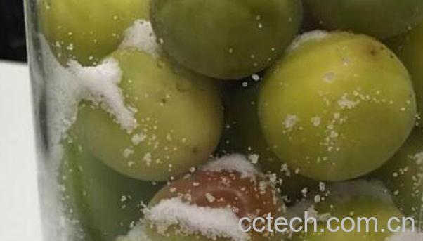 盐腌酸梅的功效与作用-0