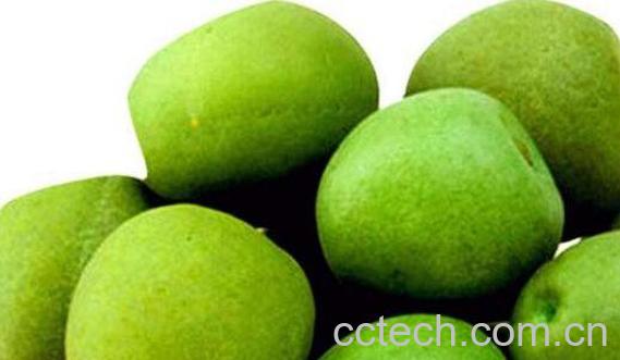 酸梅果的功效与作用-0