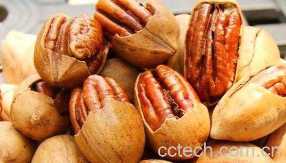 碧根果的功效与作用 吃碧根果的好处有哪些-0