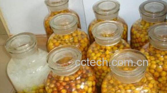 酸梅酒如何做 酸梅酒怎么泡窍门-1