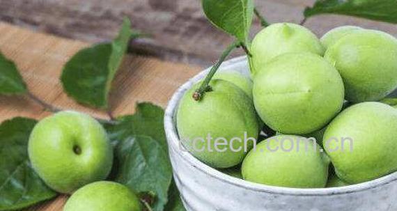 酸梅酒如何做 酸梅酒怎么泡窍门-0