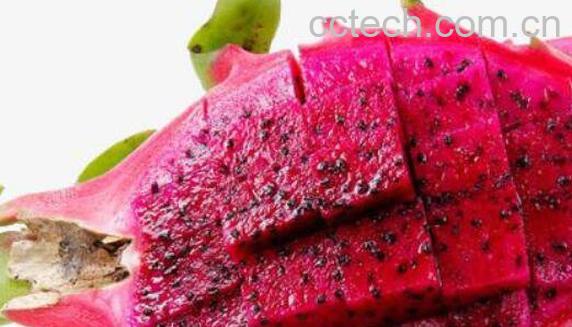 火龙果干的功效与作用-1