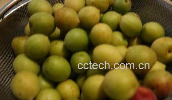 广西酸梅如何做 广西酸梅腌制做法-0