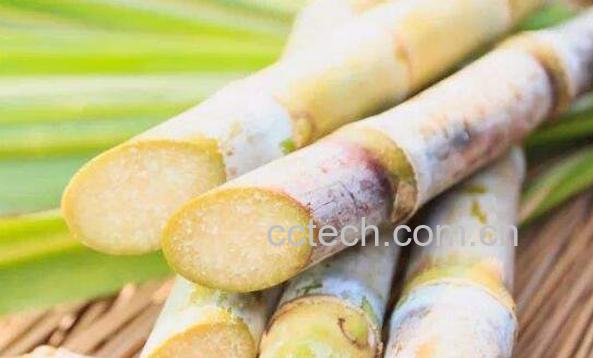 甘草棒的功效与作用-0