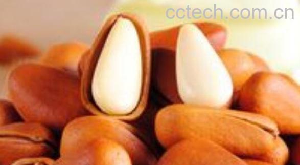 红松松子的功效与作用-0