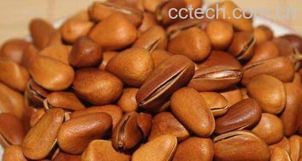 开口松子是怎么弄开口的 吃开口松子有什么好处　-1