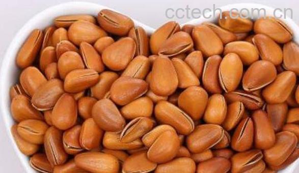 炒松子的功效与作用 吃炒松子的好处-1