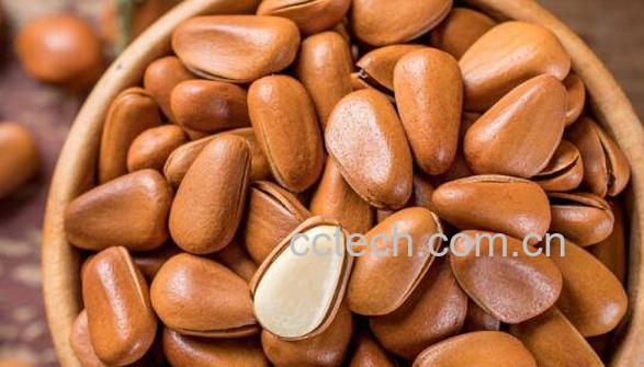 东北松子的功效和作用-1