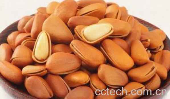 东北松子的功效和作用-0