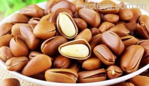 巴西松子怎么吃 巴西松子的食用方法-1