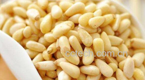 野生红松子的功效与作用-0