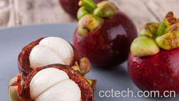 山竹果汁的功效与作用 山竹果汁怎么做-1