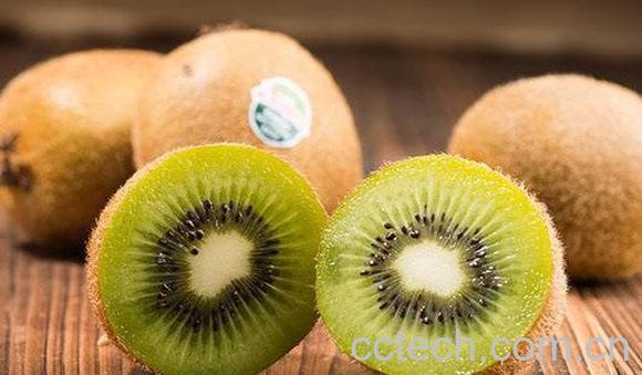 猕猴桃-1