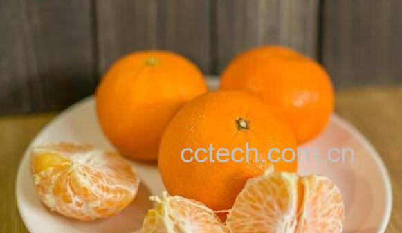 柑果皮的功效与作用-1