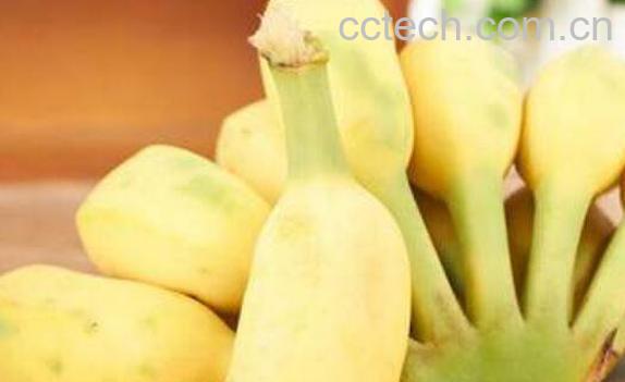 吃芭蕉心的功效与作用-0