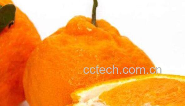 粑粑柑的功效与作用 粑粑柑的禁忌-1