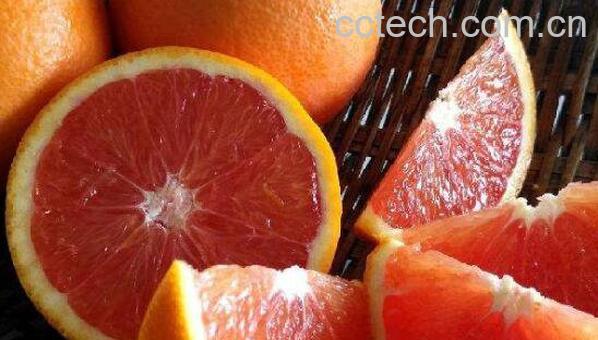 血橙的功效与作用 血橙的禁忌-0