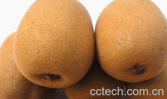 金果猕猴桃功效和营养价值-0