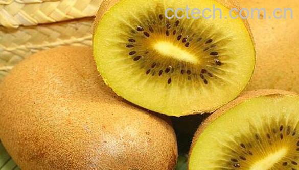 猕猴桃的营养价值及功效-0