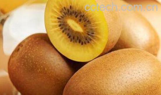 猕猴桃的营养价值及功效-1