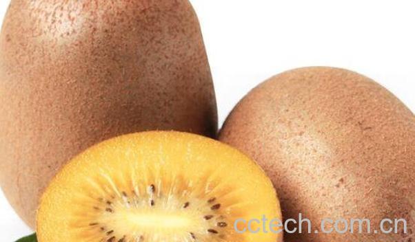 翠香猕猴桃的特点 为什么翠香猕猴桃贵呢-0