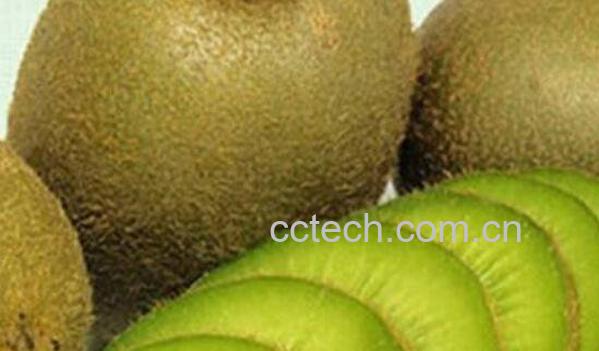 周至猕猴桃什么时候熟 周至猕猴桃的特点-0