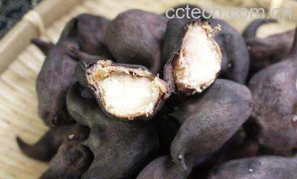 菱角怎么剥壳 菱角快速剥壳窍门-0