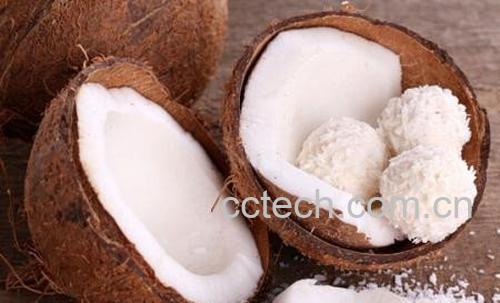 椰子肉-0