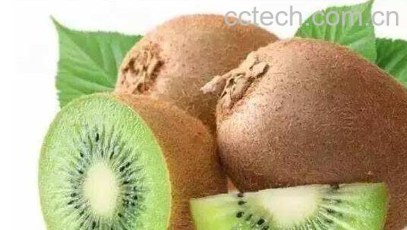 绿心猕猴桃的功效与作用-1