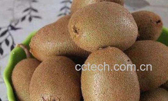 猕猴桃很硬怎么催熟 猕猴桃最快催熟方法-0