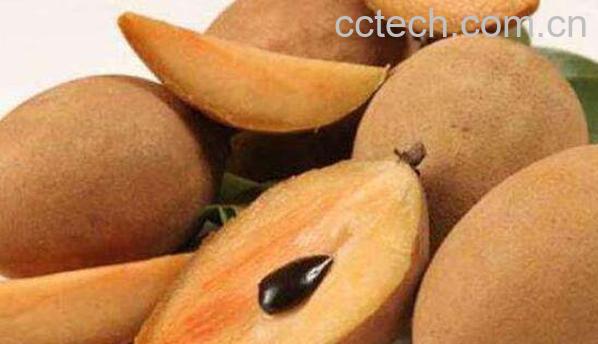 人心果的功效与作用 人心果的禁忌-1