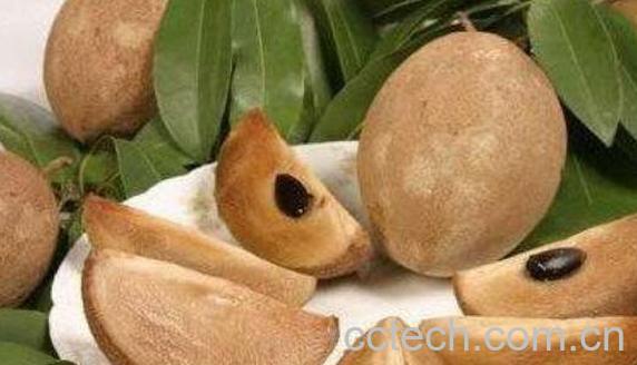 人心果如何泡酒 人心果泡酒的功效-0